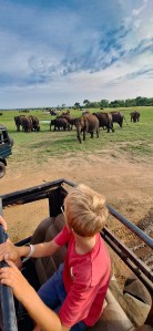 voyage travel planner sri lanka